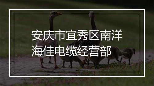 安庆市宜秀区南洋海佳电缆经营部