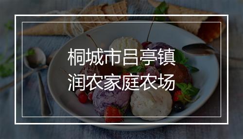 桐城市吕亭镇润农家庭农场