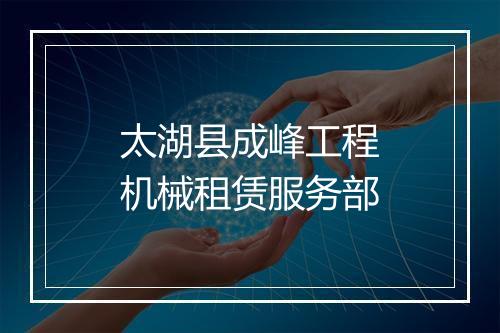 太湖县成峰工程机械租赁服务部