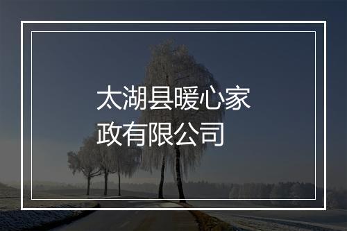 太湖县暖心家政有限公司