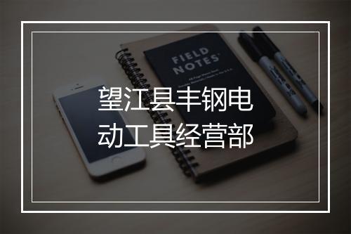 望江县丰钢电动工具经营部