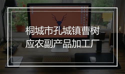 桐城市孔城镇曹树应农副产品加工厂