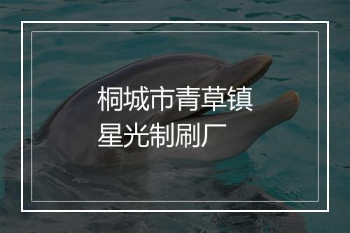 桐城市青草镇星光制刷厂