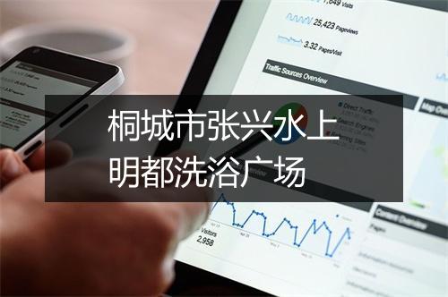 桐城市张兴水上明都洗浴广场
