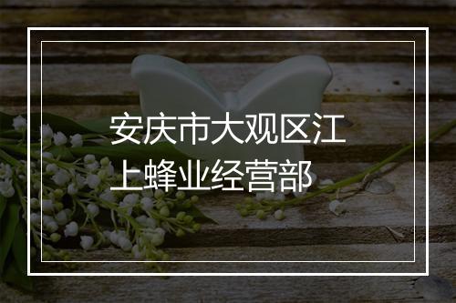 安庆市大观区江上蜂业经营部