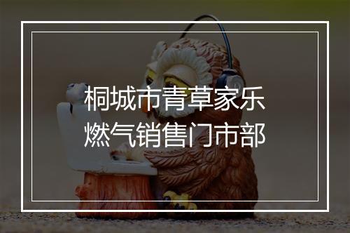 桐城市青草家乐燃气销售门市部