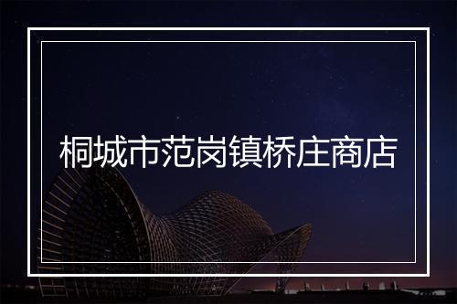桐城市范岗镇桥庄商店