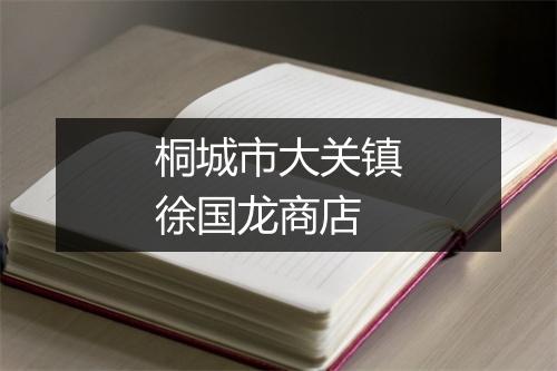 桐城市大关镇徐国龙商店