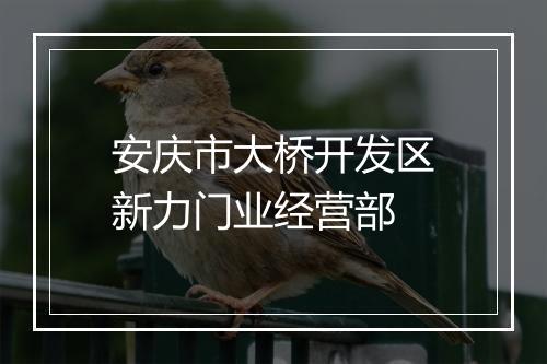 安庆市大桥开发区新力门业经营部