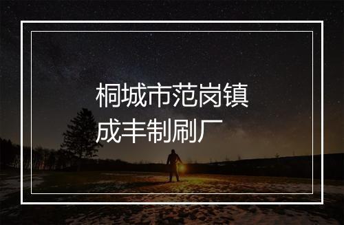 桐城市范岗镇成丰制刷厂