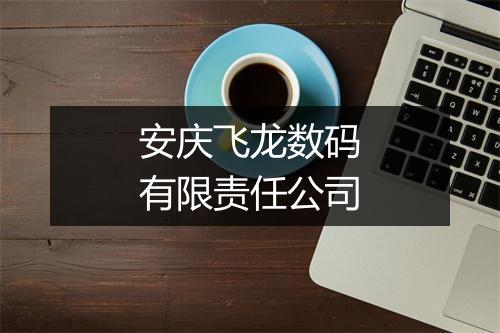 安庆飞龙数码有限责任公司