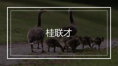 桂联才