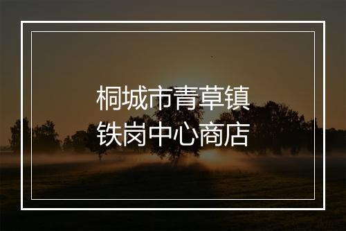 桐城市青草镇铁岗中心商店