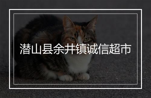 潜山县余井镇诚信超市