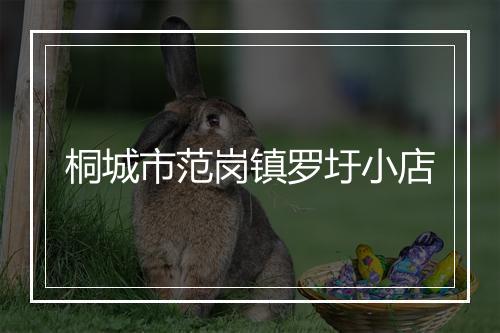 桐城市范岗镇罗圩小店