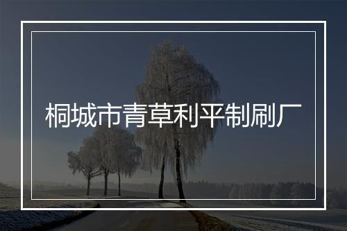 桐城市青草利平制刷厂