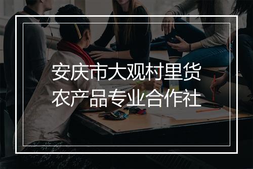 安庆市大观村里货农产品专业合作社