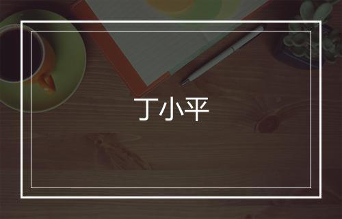 丁小平