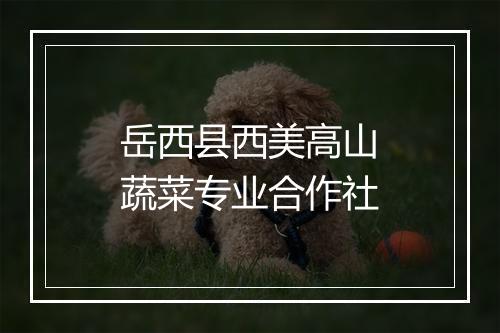 岳西县西美高山蔬菜专业合作社