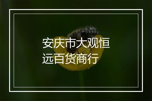 安庆市大观恒远百货商行