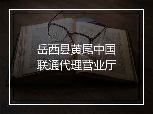岳西县黄尾中国联通代理营业厅