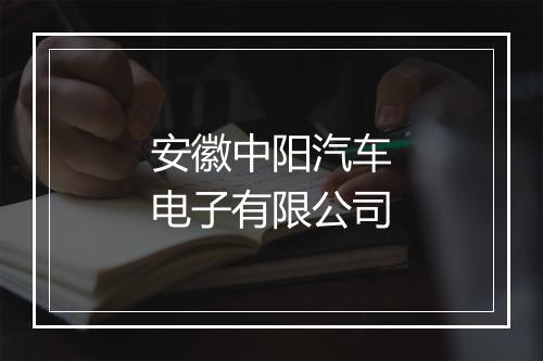 安徽中阳汽车电子有限公司