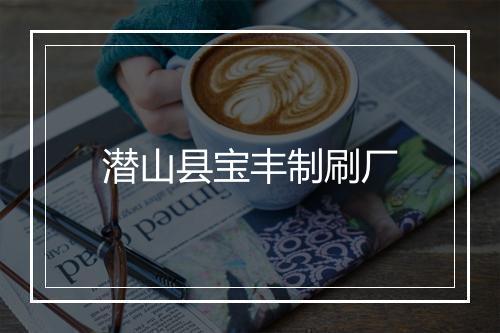 潜山县宝丰制刷厂