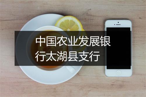 中国农业发展银行太湖县支行
