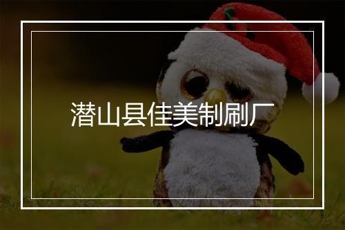 潜山县佳美制刷厂