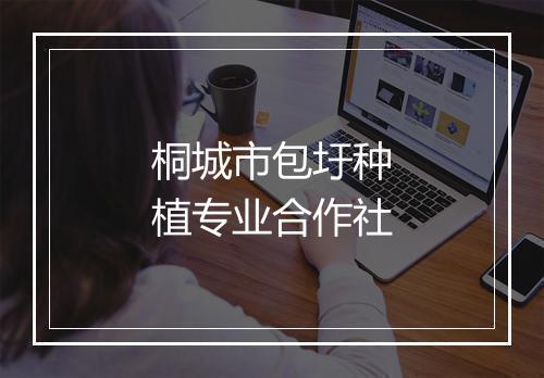 桐城市包圩种植专业合作社