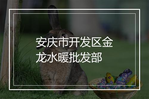 安庆市开发区金龙水暖批发部