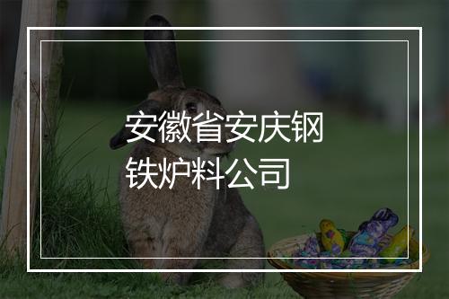 安徽省安庆钢铁炉料公司
