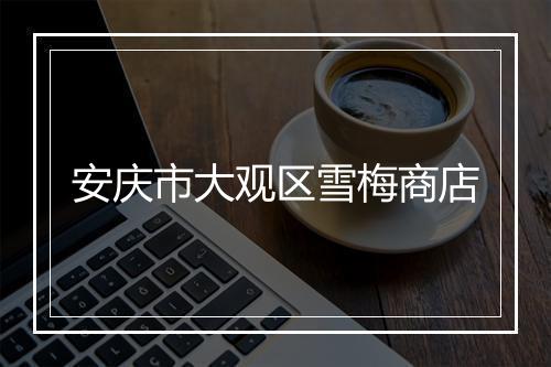 安庆市大观区雪梅商店