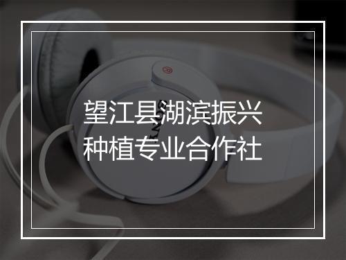 望江县湖滨振兴种植专业合作社