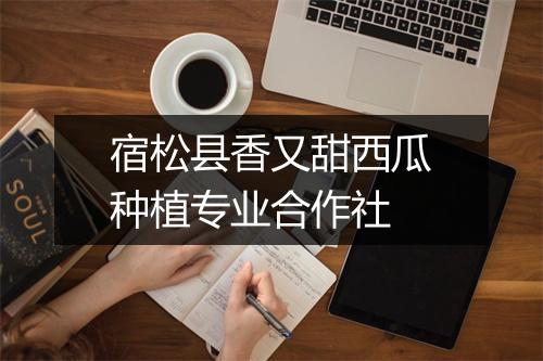 宿松县香又甜西瓜种植专业合作社