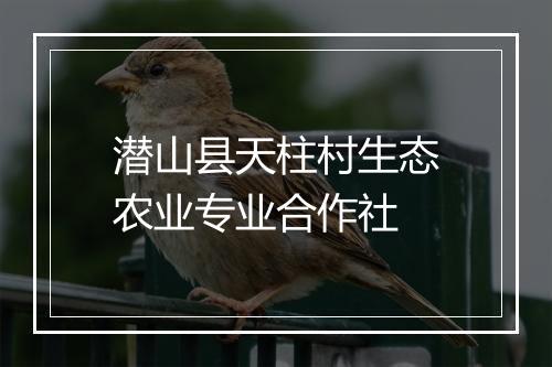 潜山县天柱村生态农业专业合作社