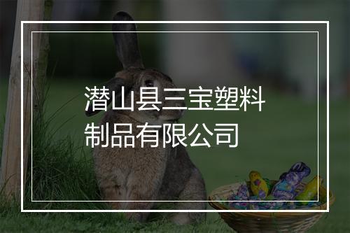 潜山县三宝塑料制品有限公司