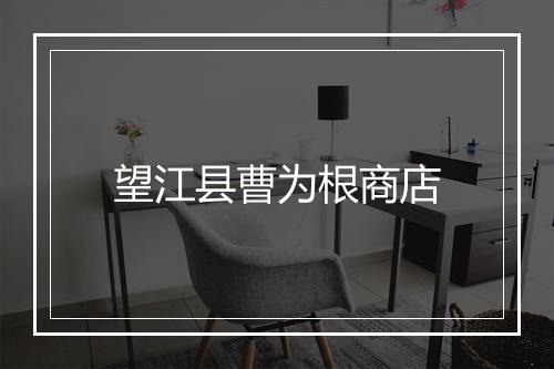 望江县曹为根商店