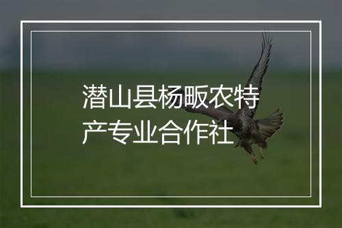 潜山县杨畈农特产专业合作社