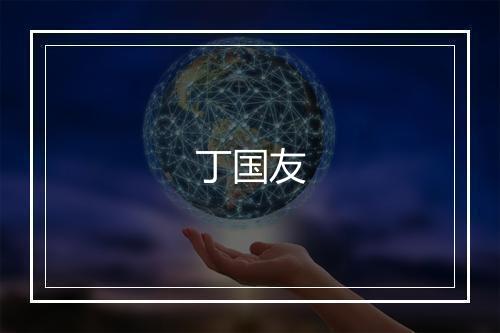 丁国友