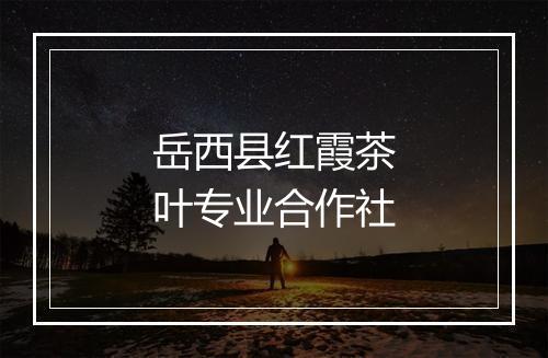 岳西县红霞茶叶专业合作社