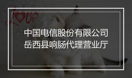 中国电信股份有限公司岳西县响肠代理营业厅
