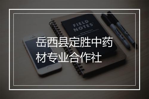 岳西县定胜中药材专业合作社