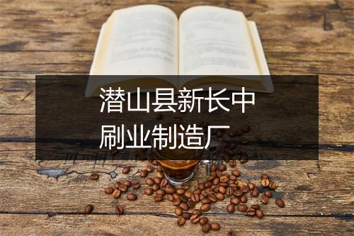 潜山县新长中刷业制造厂