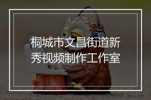 桐城市文昌街道新秀视频制作工作室