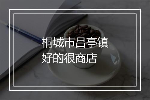 桐城市吕亭镇好的很商店