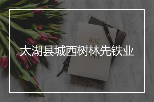 太湖县城西树林先铁业