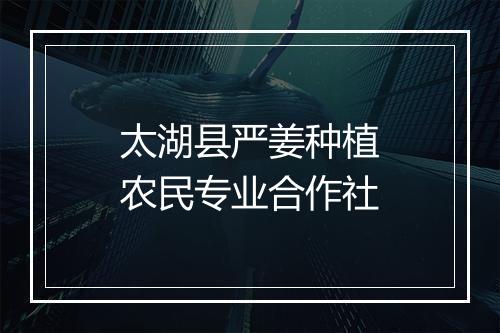 太湖县严姜种植农民专业合作社