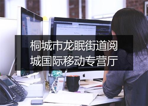 桐城市龙眠街道阅城国际移动专营厅