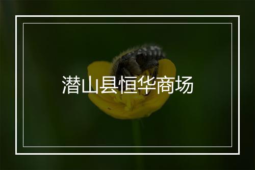 潜山县恒华商场